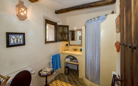 Ground floor bathroom (walk-in shower)